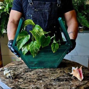 Rustikaler Smaragd grüner Holz Pflanzkasten | Handgemachte dekorative Pflanzenschale mit Herzblatt Philodendron | Einzigartige Indoor Jungle Vibes