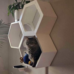 cat climbing wall, cat wall furniture, cat tree, cat furniture, cat house, cat tree modern, cat hexagon shelves, Modern cat furniture