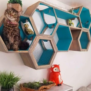 May include: A multi-level cat shelf in a honeycomb design. The wooden shelves have teal blue interiors and are mounted on a white wall. A fluffy cat sits in one of the shelves. A red fox figurine and plants are also visible.