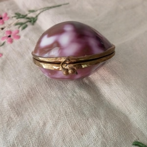 Vintage shell purse/ trinket box-vintage shell accessory-shell with metal closure