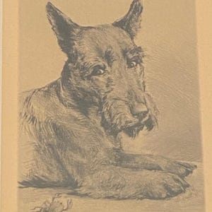 Scottie dog - vintage scottie dog print - scottie dog with crab