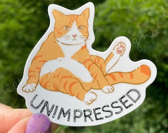 Unimpressed Orange Cat Funny Waterproof Vinyl Sticker, Laptop, Water Bottle, Funny Birthday Gift for Cat Lover, Cat Mom Just Because Gift