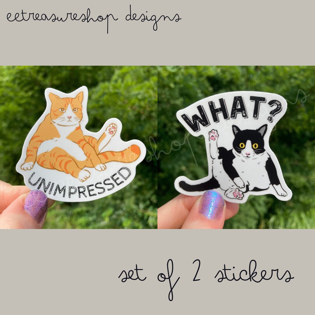 Funny Cat Waterproof Vinyl 2 Sticker Set, Unimpressed Orange Cat, What ...