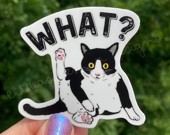 May include: A white and black cat with yellow eyes is sitting on its hind legs with its front paw raised. The cat is looking directly at the viewer. The text "WHAT?" is above the cat in black letters with a distressed look.