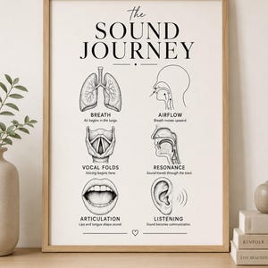 Pode incluir: Um cartaz educativo emoldurado intitulado The Sound Journey, com ilustrações anatómicas a tinta preta dos pulmões, cordas vocais, boca e ouvido. As etiquetas de texto incluem Breath, Airflow, Vocal Folds, Resonance, Articulation e Listening.