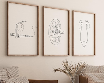 Impresión de arte lineal minimalista de urología, cistoscopio, decoración de clínica hospitalaria (descarga digital), tracto urinario, urólogo, juego de 3