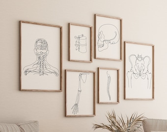 Galerij menselijke anatomie Set van 6 tekeningen, minimalistische botten Line Art Print, digitaal bestand, medische decoratie, menselijk skelet, chiropractie