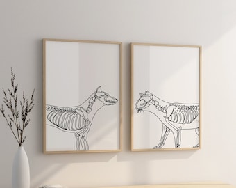 May include: Two framed black and white line drawings of animal skeletons. The skeletons are of a dog and a cat. The drawings are on a white background and are framed in natural wood frames.