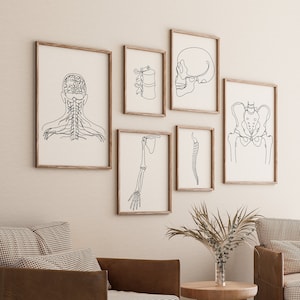 Human Anatomy Gallery Set of 6 Drawings, Minimalist Bones Line Art Print, Digital File, Medical Decoration, Human Skeleton, Chiropractic