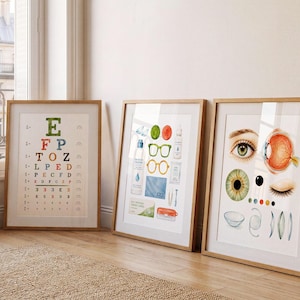 Op de afbeelding: Drie ingelijste wandposters met optometrie-thema's. De linker poster toont een veelkleurige oogkaart. De middelste poster toont diverse oogverzorgingsproducten, waaronder brillen en vloeistoffen. De rechter poster illustreert de anatomie van het menselijk oog.