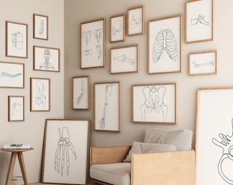 Menselijke anatomie galerij set van 18 tekeningen, minimalistische botten Line Art Print, digitaal bestand, medische decoratie, menselijk skelet, chiropractie