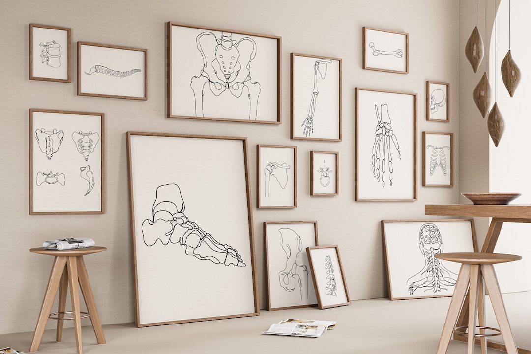 Anatomy Gallery Set of 15, Minimalist Bone Line Art (digital File) - Etsy