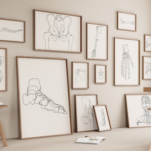 Puede incluir: Una pared de galería con dibujos en blanco y negro de líneas del sistema esquelético humano. Los dibujos están enmarcados en marcos de madera natural y están dispuestos en una cuadrícula en una pared beige claro.