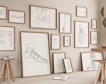 Menselijke anatomie galerij set van 15 tekeningen, minimalistische botten Line Art Print, digitaal bestand, medische decoratie, menselijk skelet, chiropractie