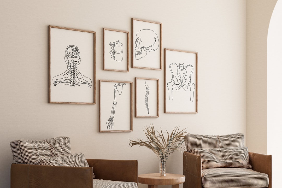 Human Anatomy Print Set, Minimalist Bone Line Art, Medical Decor (digital File) - Etsy