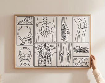 Minimalist Radiography  Line Art, Digital Download, X-ray print, Hospital Poster, Medical Health Care Printable, Doctor Gift Radiologist