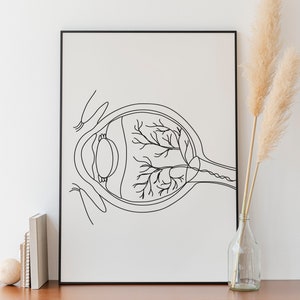 Optometry Line Drawing Minimalist Human Eye Anatomy Line Art, Digital File, Organ Gift Print ...