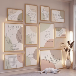 Può includere: Una collezione di stampe artistiche incorniciate con cornici dorate, con disegni a tratto e testo relativi al linguaggio e alla comunicazione. Le stampe includono illustrazioni dell'orecchio, della bocca e del cervello, con parole come "VOIX" e "AUDITION". Un gatto bianco riposa sul pavimento.