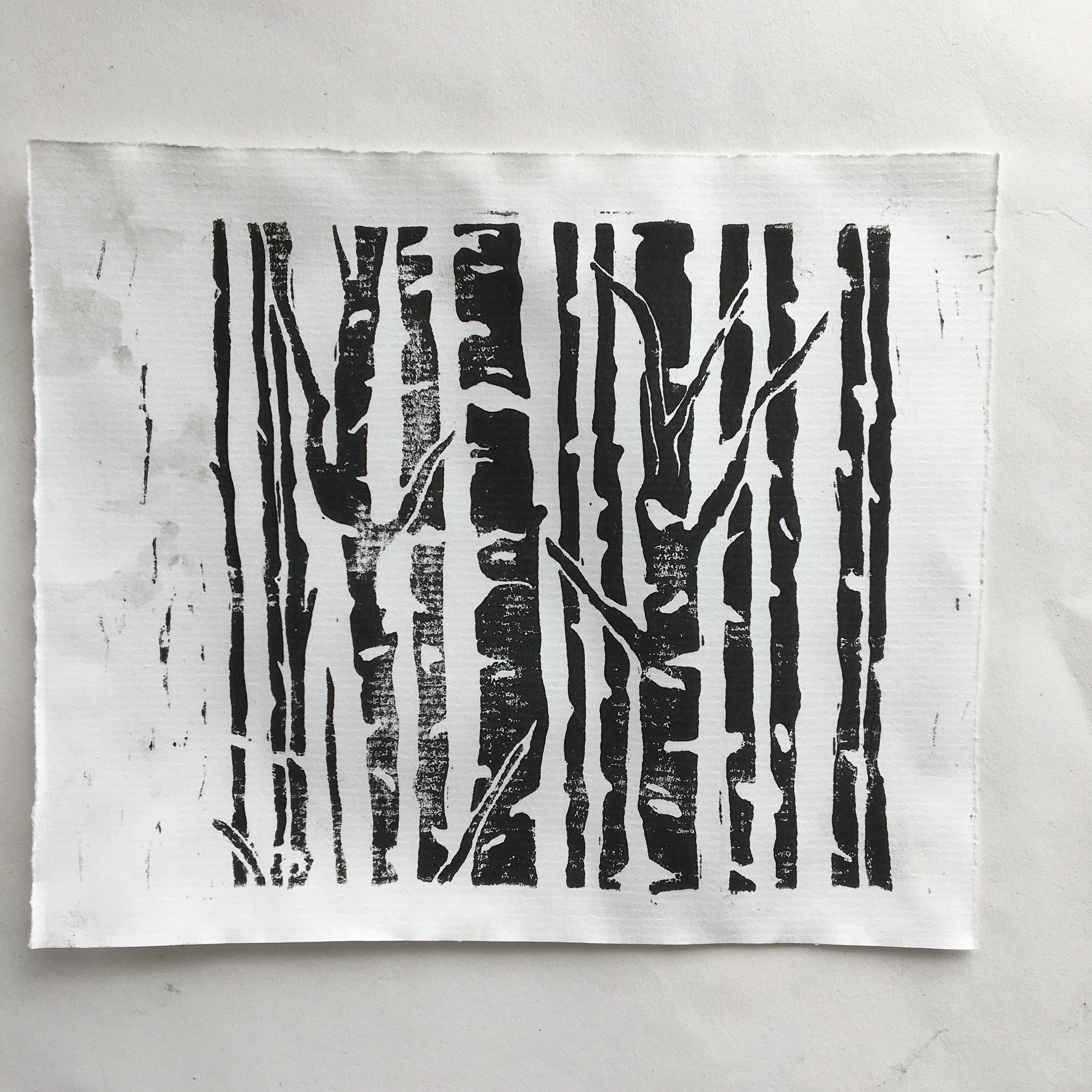 Birch Tree Lino Print - Etsy