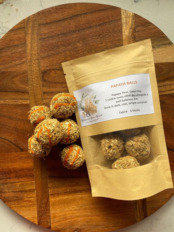 Papaya Balls 50gr /Rabbit Treats/Guinea pig Etsy