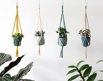 Mini Macrame Hanging Planter Set | Indoor Succulent Plant Hangers | Small Plant Pot Holders | Boho Home Decor | Air Plant Hanger