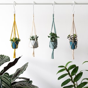 Mini Macrame Hanging Planter Set | Indoor Succulent Plant Hangers | Small Plant Pot Holders | Boho Home Decor | Air Plant Hanger