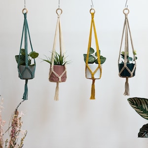 May include: Four macrame plant hangers with different coloured cords and potted plants. The hangers are hanging from the ceiling and the plants are in white, pink, and green pots.