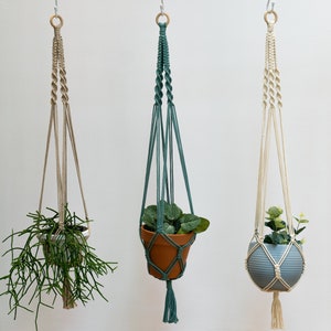 May include: Three macrame plant hangers with different coloured cords and pots. The hangers are hanging from hooks on a white wall. The plants are a succulent, a leafy plant, and a small bush.