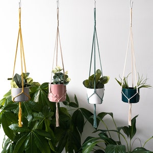 May include: Four hanging plant macrame planters with different coloured cords and plants in various coloured pots. The planters are hanging from a white rod.