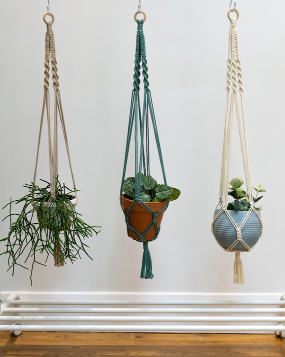 rope planter hanger PILLOWPIA Trina Macrame Plant Hanger Sage main image 1