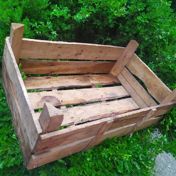 Vegetable Crates Etsy