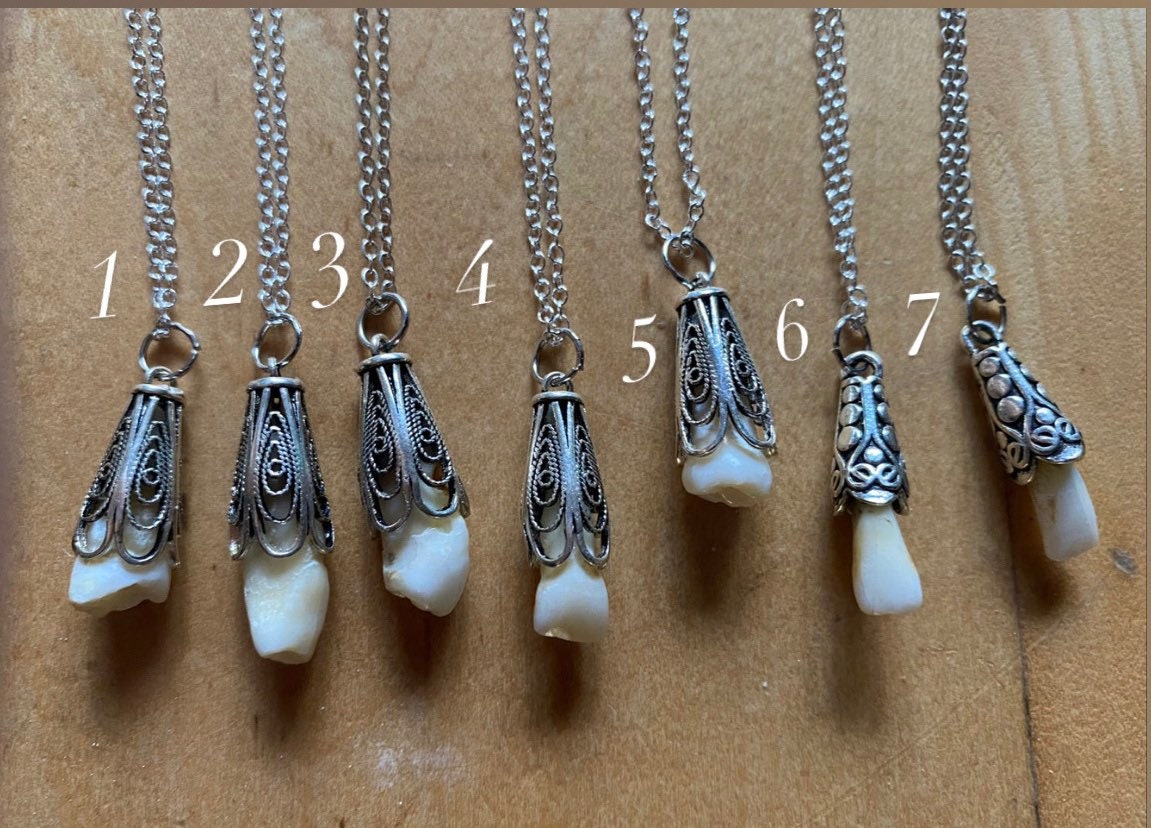 Real Human Tooth Sterling Sliver Necklaces Etsy