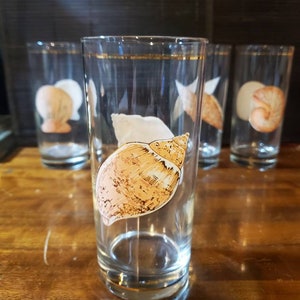 4 Vintage, by Culvers, Seashell, Tumblers, Tall Glasses, Gold Detailing ...