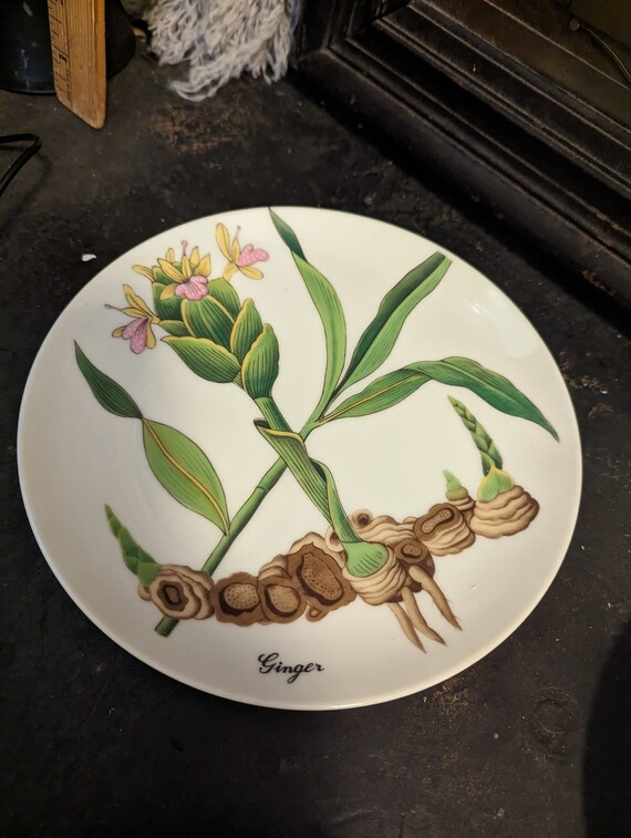 5 Vintage, Horchow Collection, Japan, Botanical, Herb Salad Plates