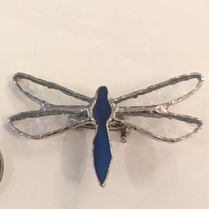 May include: A silver dragonfly brooch with iridescent wings and a dark blue body.