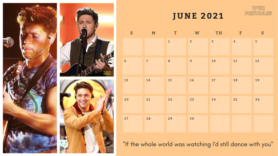 Niall Horan 2021 Calendar | Etsy