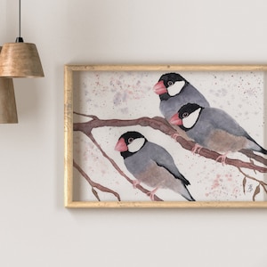 Op de afbeelding: Waterverf schilderij van drie grijze en witte vogels met roze snavels die op een tak zitten. De achtergrond is lichtroze met witte spetters.