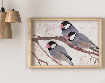 Java Sparrow Original Painting Java Rice Finch Watercolor Art Bird Art Home Decor Wall Art Rice Finch Watercolor Rice Finch Bird Picture Watercolor