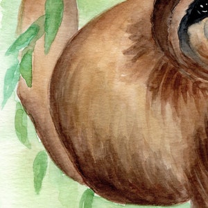 May include: A watercolour painting of a brown sloth hanging from a branch with green leaves. The sloth's face is partially visible, with a black eye and a brown nose.
