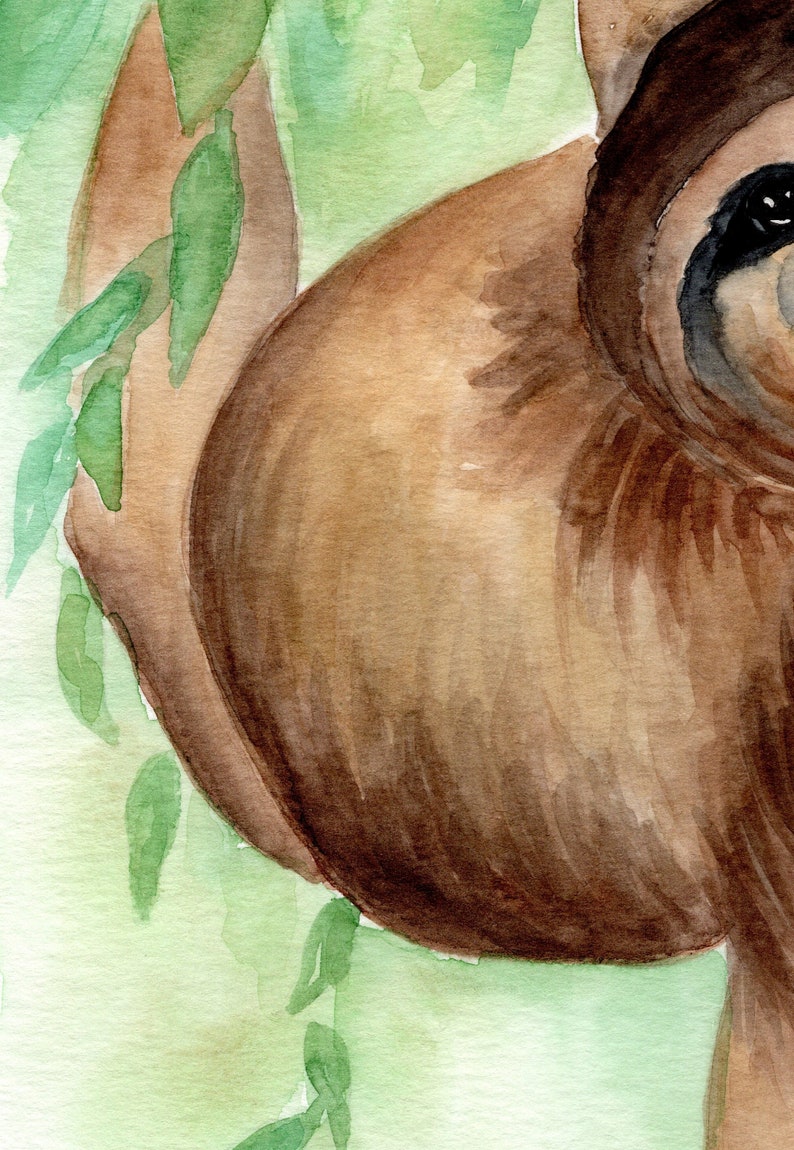 May include: A watercolour painting of a brown sloth hanging from a branch with green leaves. The sloth's face is partially visible, with a black eye and a brown nose.