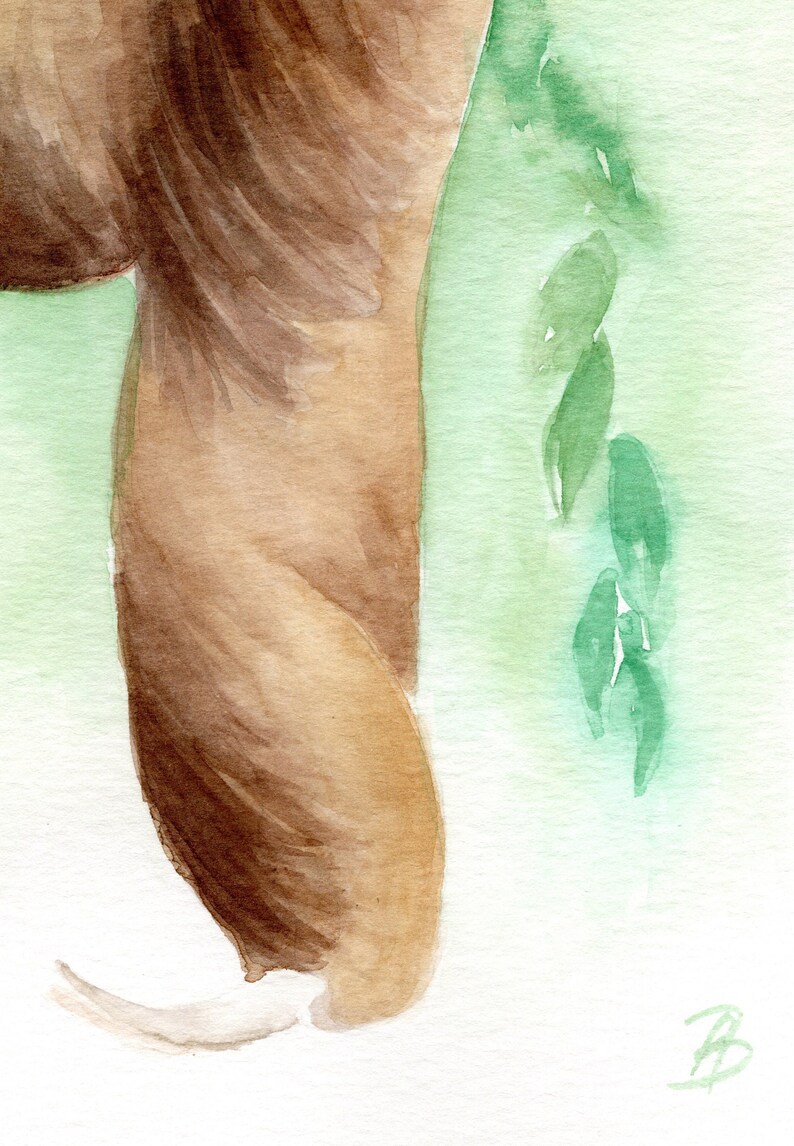 May include: Watercolour painting of a brown animal tail with green leaves in the background. The tail is curled up and the leaves are flowing down the side of the page. The artist's signature is in the bottom right corner.
