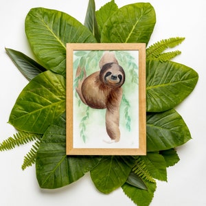 May include: A watercolour painting of a brown sloth hanging from a branch, framed in a light wood frame. The painting is surrounded by green leaves.