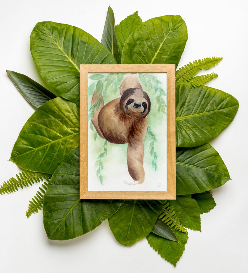 May include: A watercolour painting of a brown sloth hanging from a branch, framed in a light wood frame. The painting is surrounded by green leaves.
