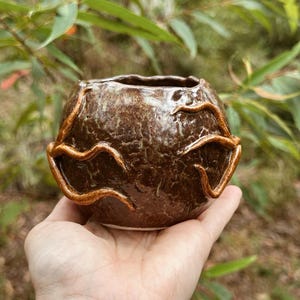 May include: A small, round, dark brown ceramic bowl with a textured, crackled glaze finish. The exterior surface features raised, winding, root-like clay appendages that wrap around the sides of the vessel, creating a tactile, organic appearance.