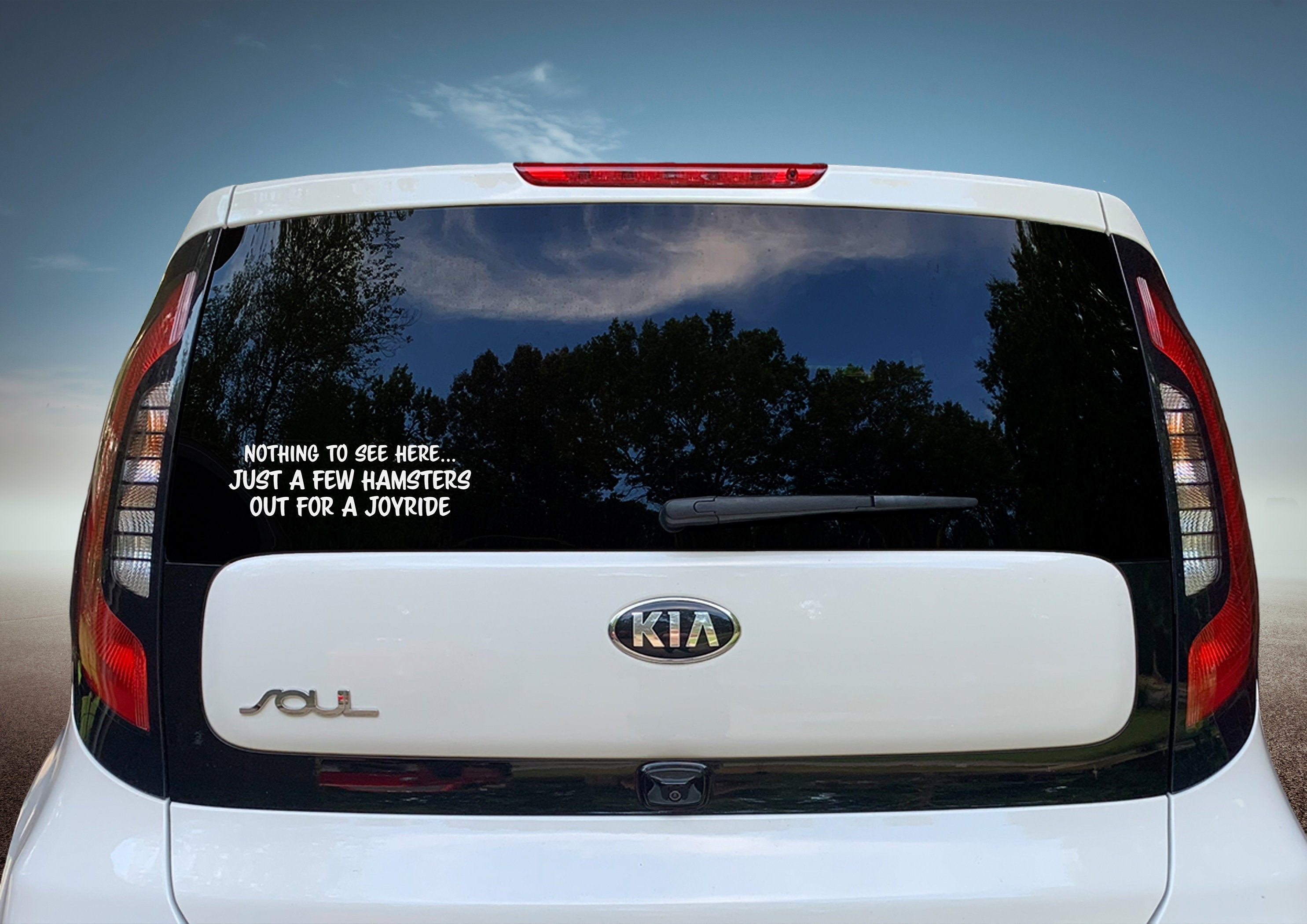 Kia car decal kia soul hamsters kia humor funny kia bumper Etsy