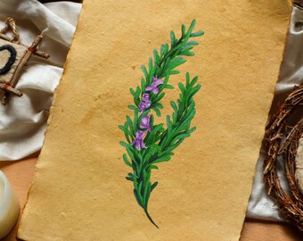 Rosemary Wild Flower Original Art for Cottage Home Decor for Christmas| Vintage Flower Art for Xmas Gift