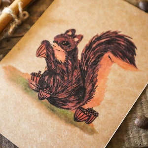 Home Squirrel Vintage Postcard Country Animal A6 Notecard Rustic Postal Card for Wildlife Photographer image 3