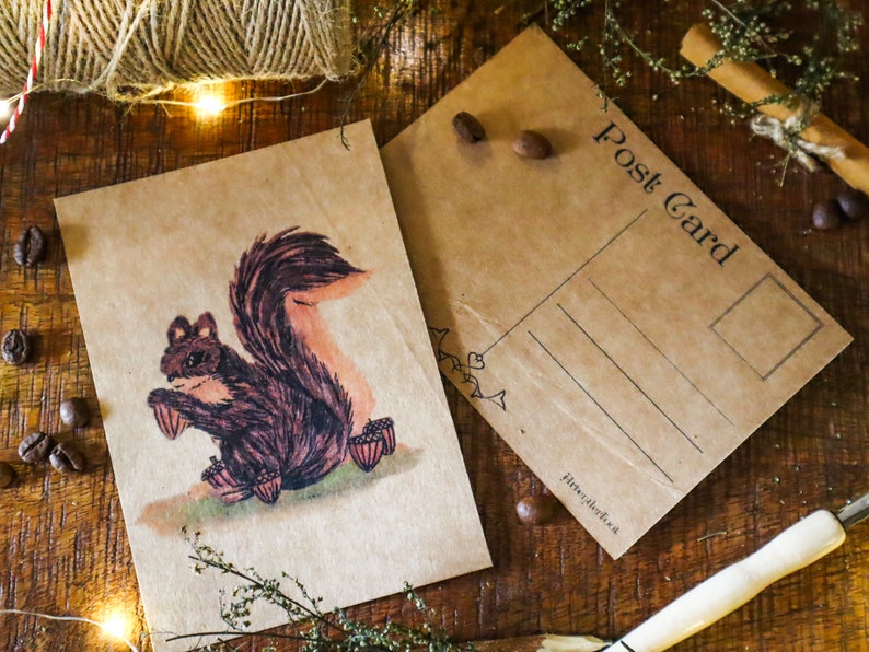 Home Squirrel Vintage Postcard Country Animal A6 Notecard Rustic Postal Card for Wildlife Photographer image 5