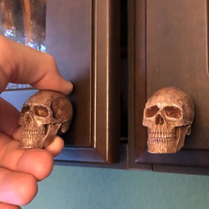 May include: Bronze-colored skull cabinet knobs. One knob is being held by a hand, while another is attached to a dark brown cabinet door. The knobs have detailed facial features, adding a unique touch to the cabinet.