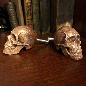 K&ouml;nnte beinhalten: Zwei bronzefarbene Sch&auml;del-Schrankkn&ouml;pfe, verbunden durch eine silberne Schraube. Die Sch&auml;del weisen detaillierte Merkmale auf und befinden sich auf einer dunklen Holzoberfl&auml;che. Im Hintergrund befindet sich ein Regal mit antiken B&uuml;chern.